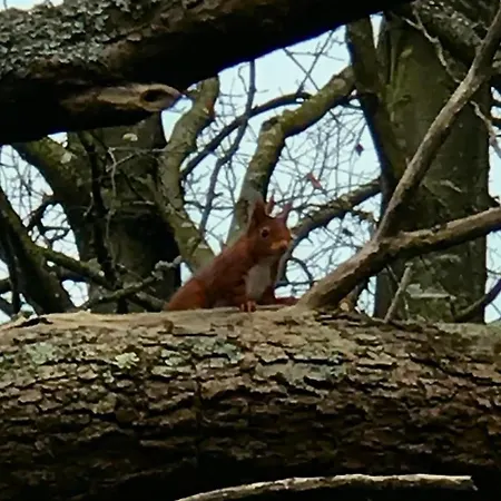 Orangerie Du Chateau